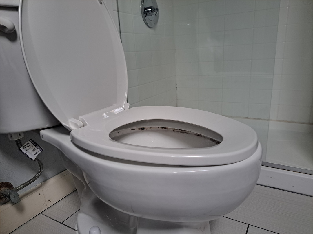 Best Western Toledo South Maumee主图