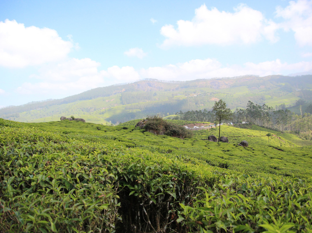 Munnar Taxi Sevice-慕那尔必去景点