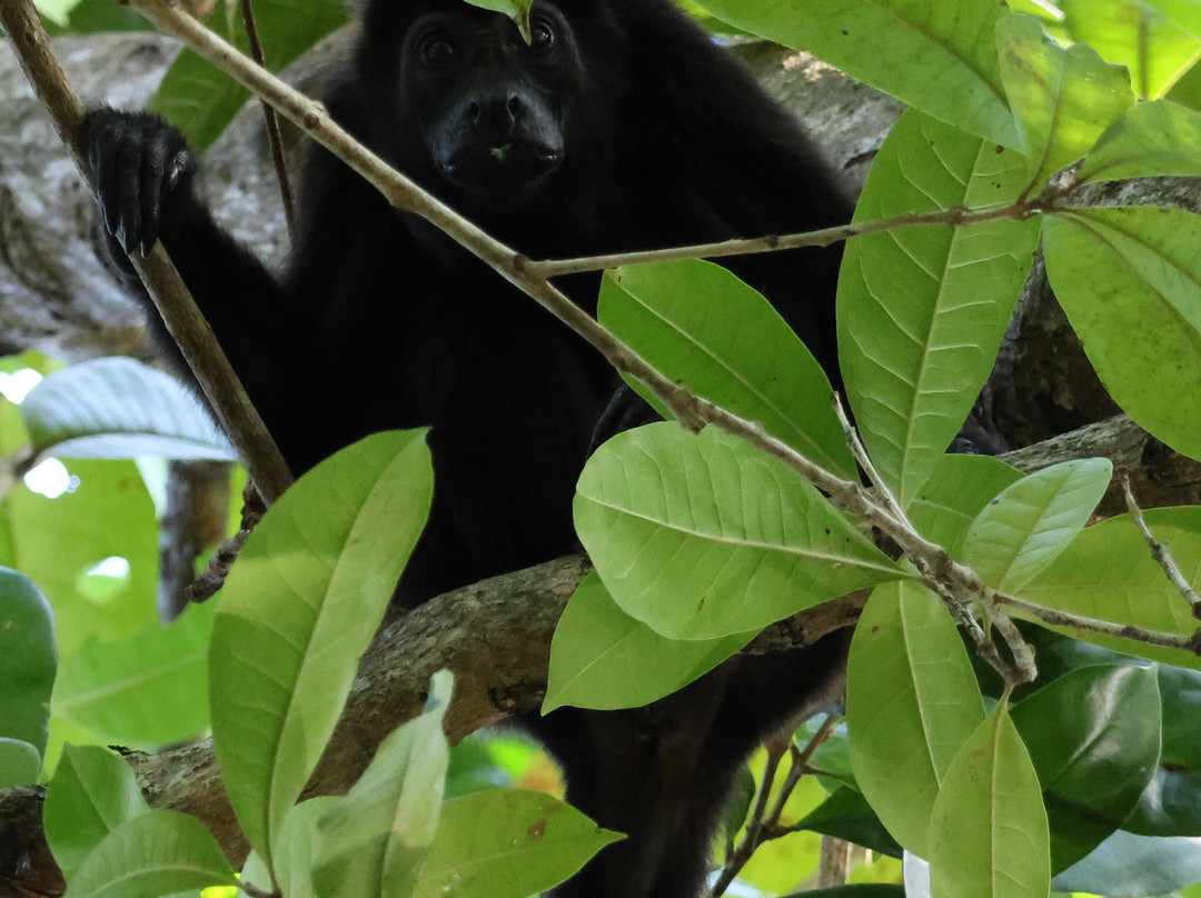 Manuel Tour Guide-卡维塔必去景点