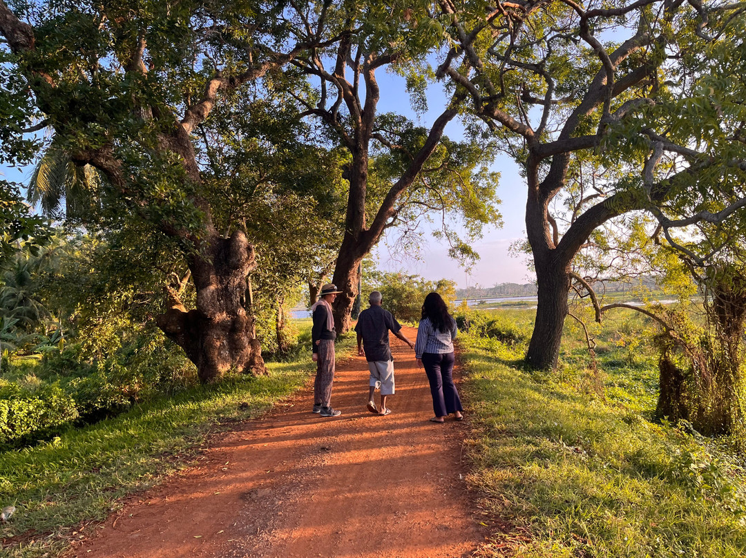 Rico Shadow Guest House and Restaurant主图