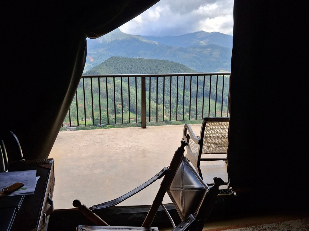 玛杜可茶园生态旅馆主图