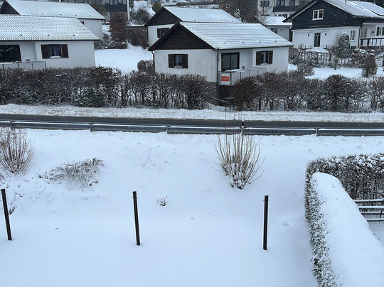 佛斯豪斯酒店主图