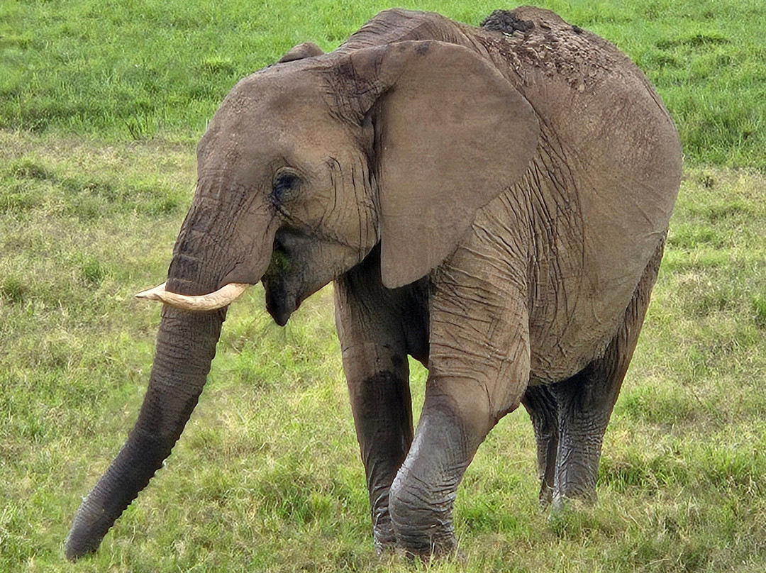 Classic Explorers-内罗毕必去景点