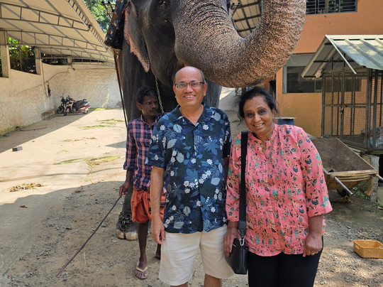 Kalpavanam Elephant Park-帖可迪必去景点