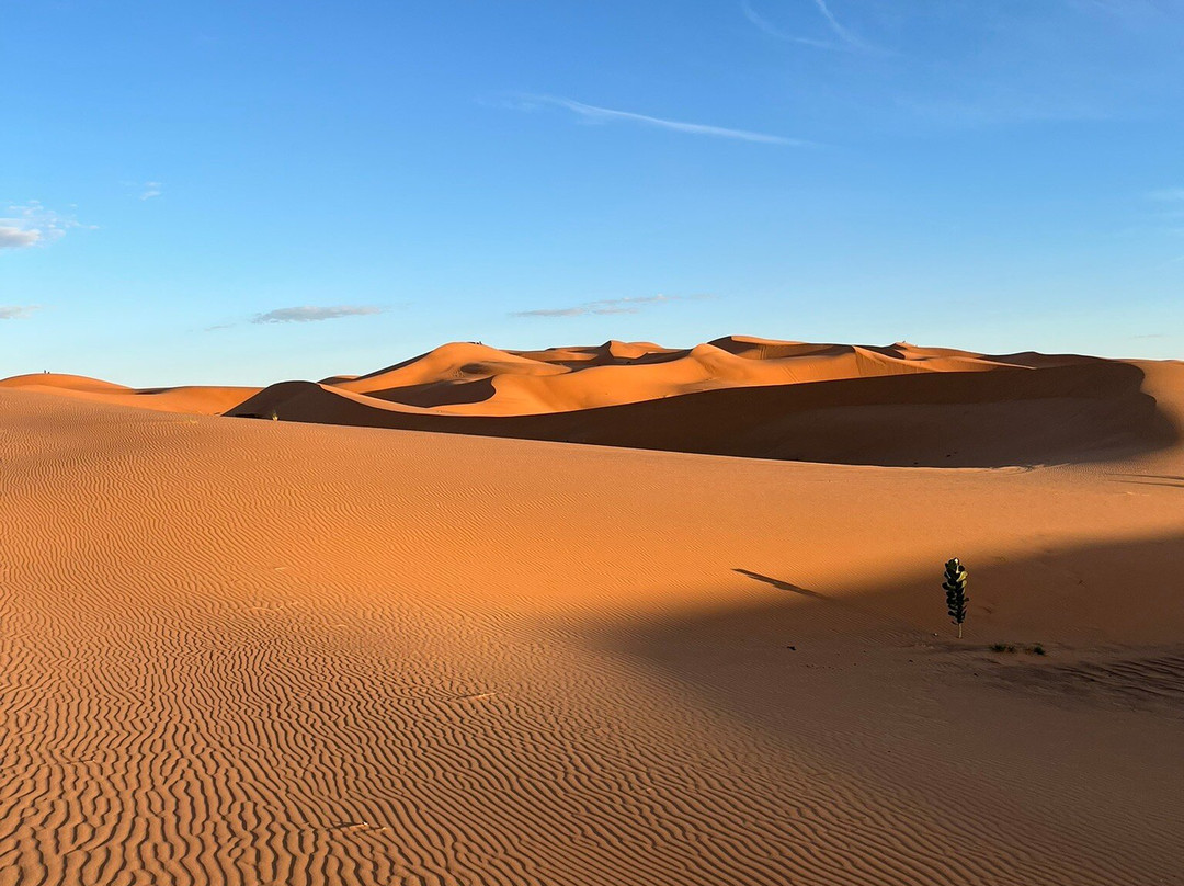 Marrakech Desert Trips-马拉喀什必去景点