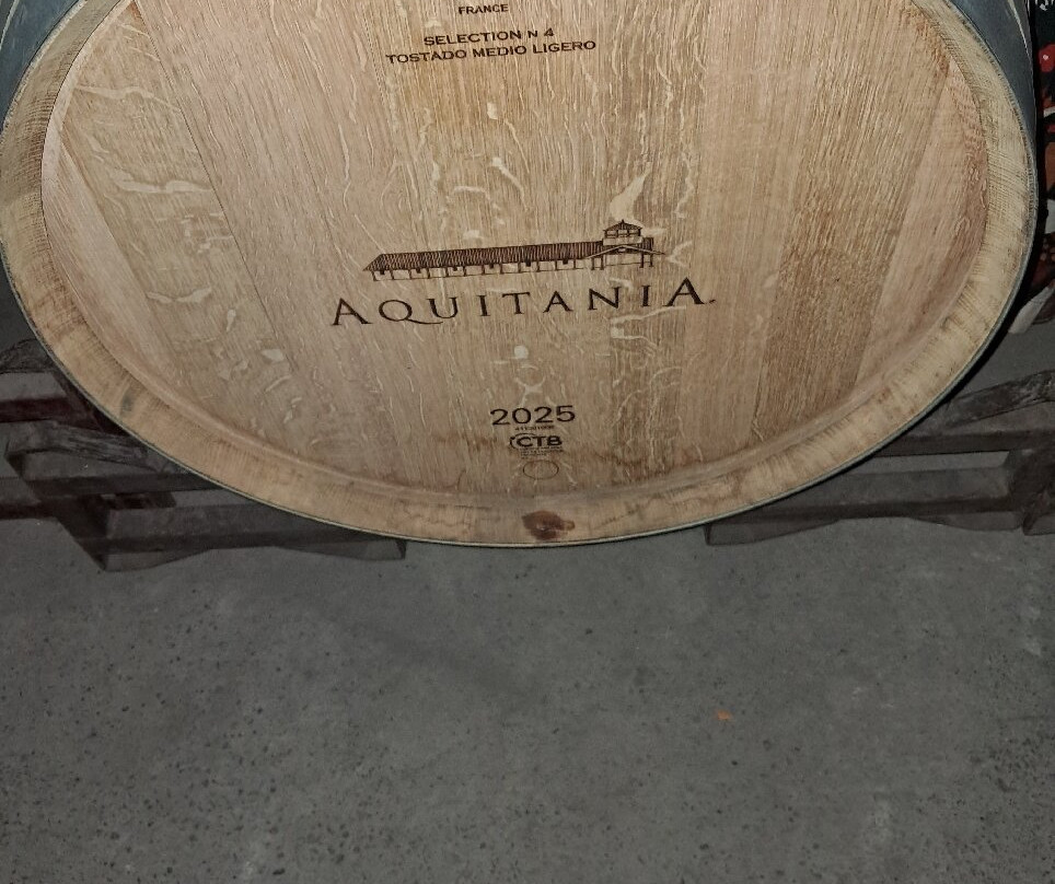 Vina Aquitania-圣地亚哥必去景点