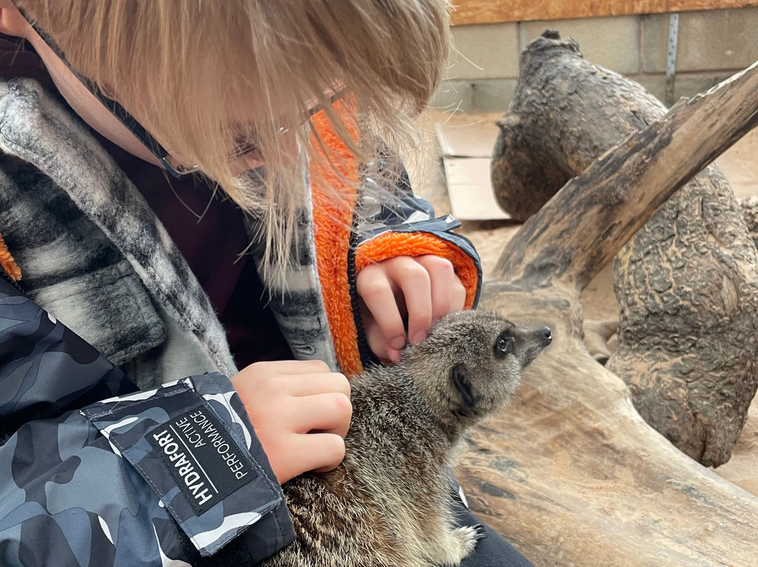 Holmes Chapel Zoo-Holmes Chapel必去景点