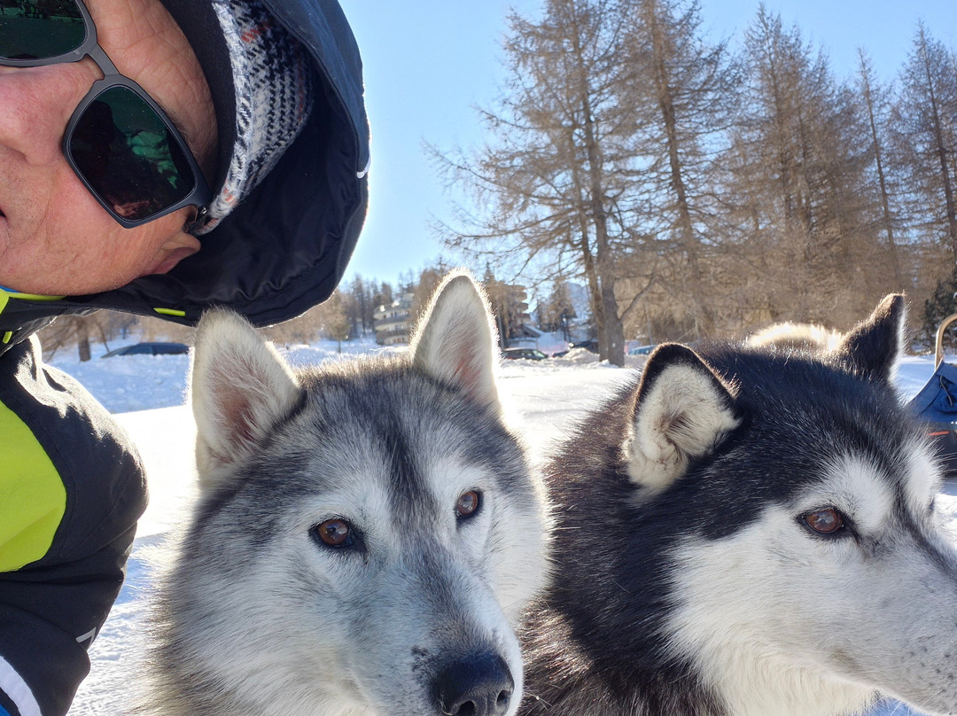 The Husky Experience Sestriere-Sestriere必去景点