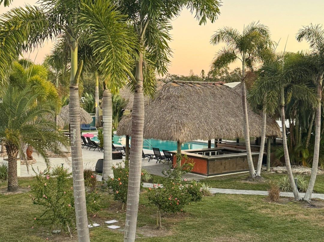 萨拉索塔金侯斯特酒店主图