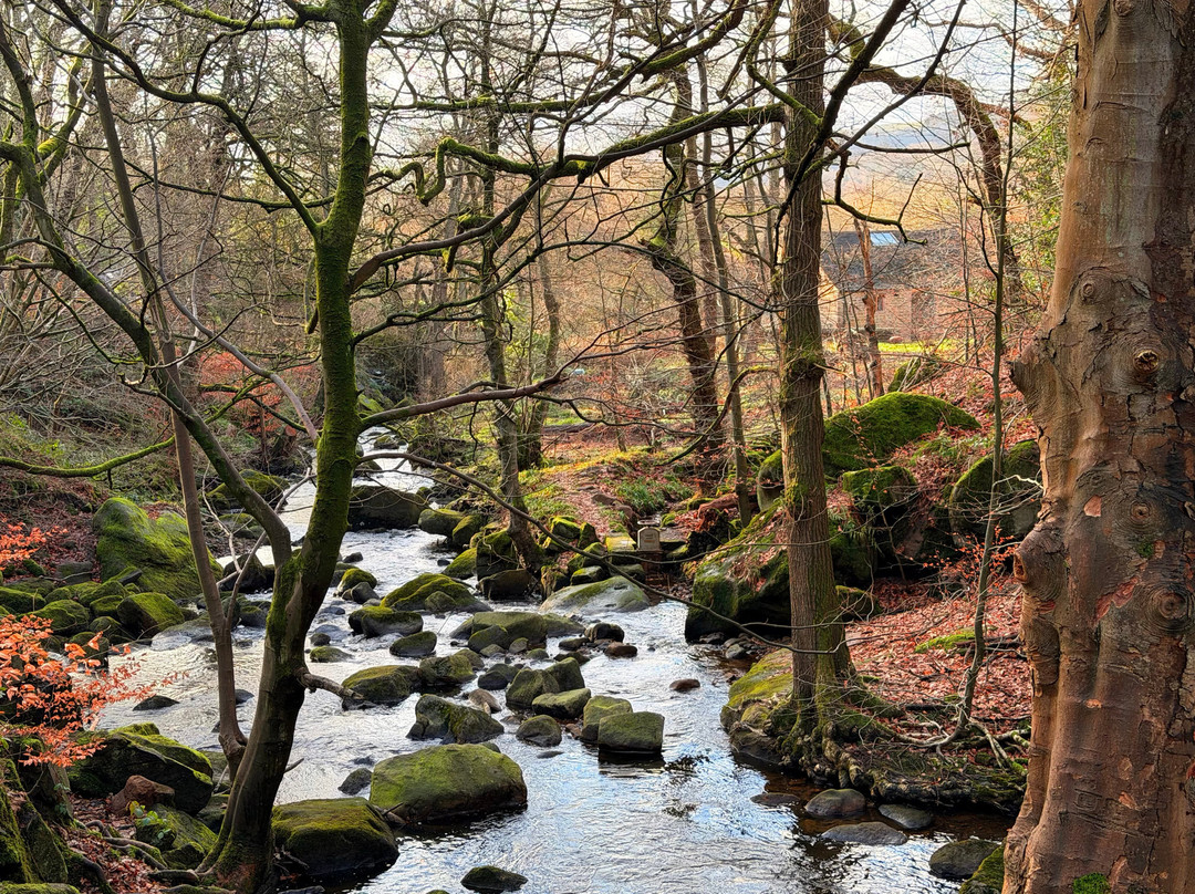 Padley Gorge-希望谷必去景点