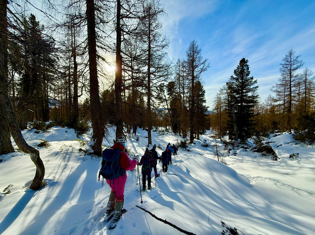 Experience Wilderness-恩斯必去景点