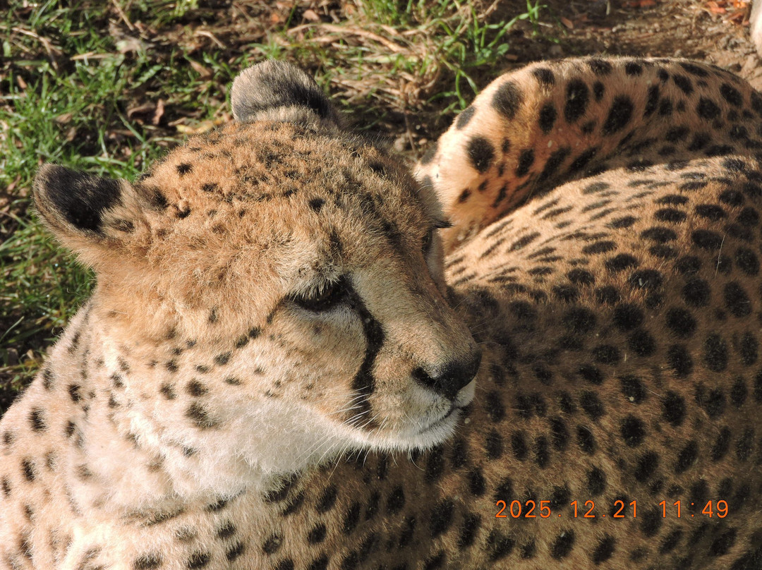 Zoo Leipzig-莱比锡必去景点