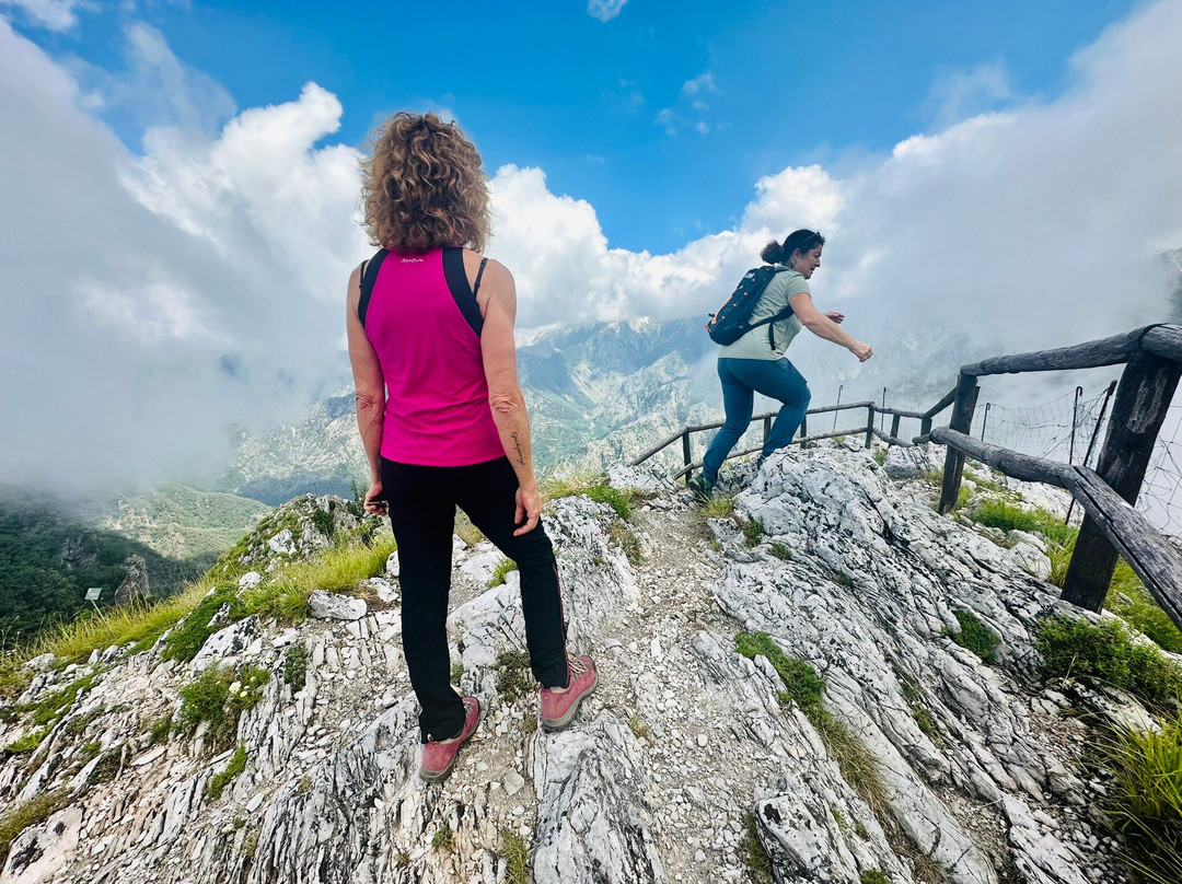 Orto Botanico Pellegrini - Ansaldi-马萨必去景点