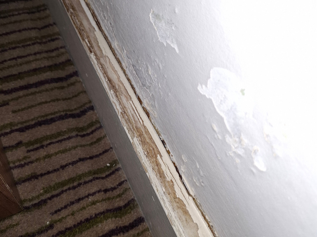 The Dukes Head Hotel主图