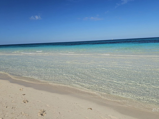 Melia Cayo Coco Diving Center-Cayo Coco必去景点