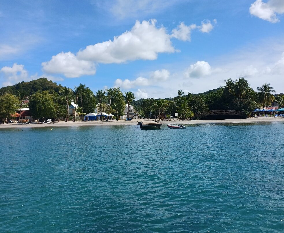 Dauphins Emotion Excursion-Les Anses d'Arlet必去景点