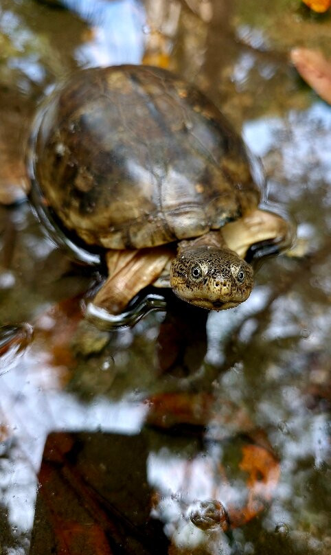 Arch Tours-Kololi必去景点