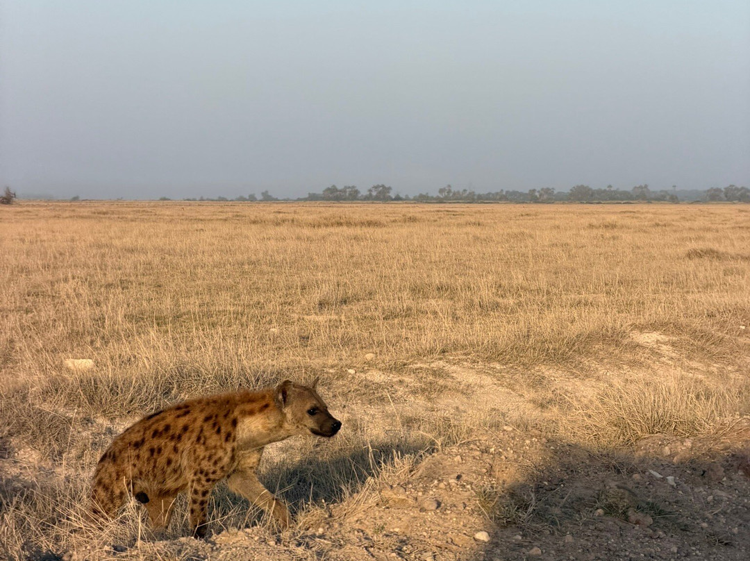 Discovery Kenya con Fragola-瓦塔木必去景点