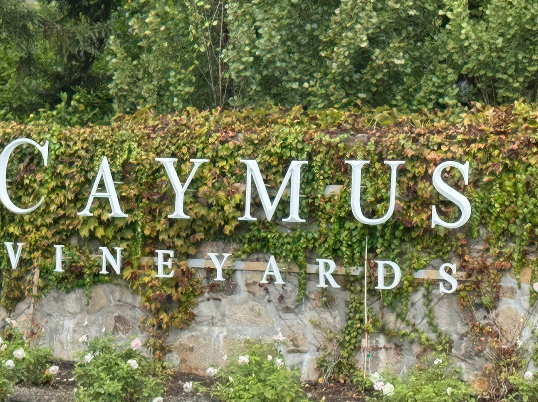 Caymus Vineyards-拉瑟福德必去景点