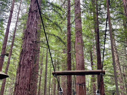 Scott Tours-陶兰加必去景点