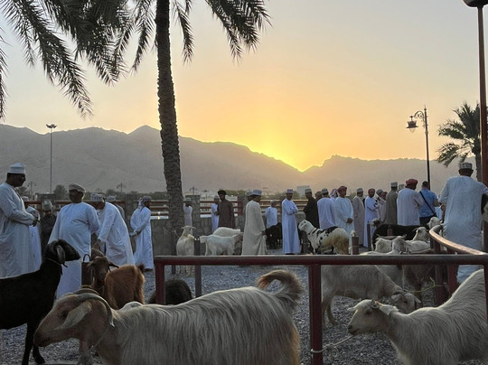 Nizwa Souq-尼日瓦必去景点