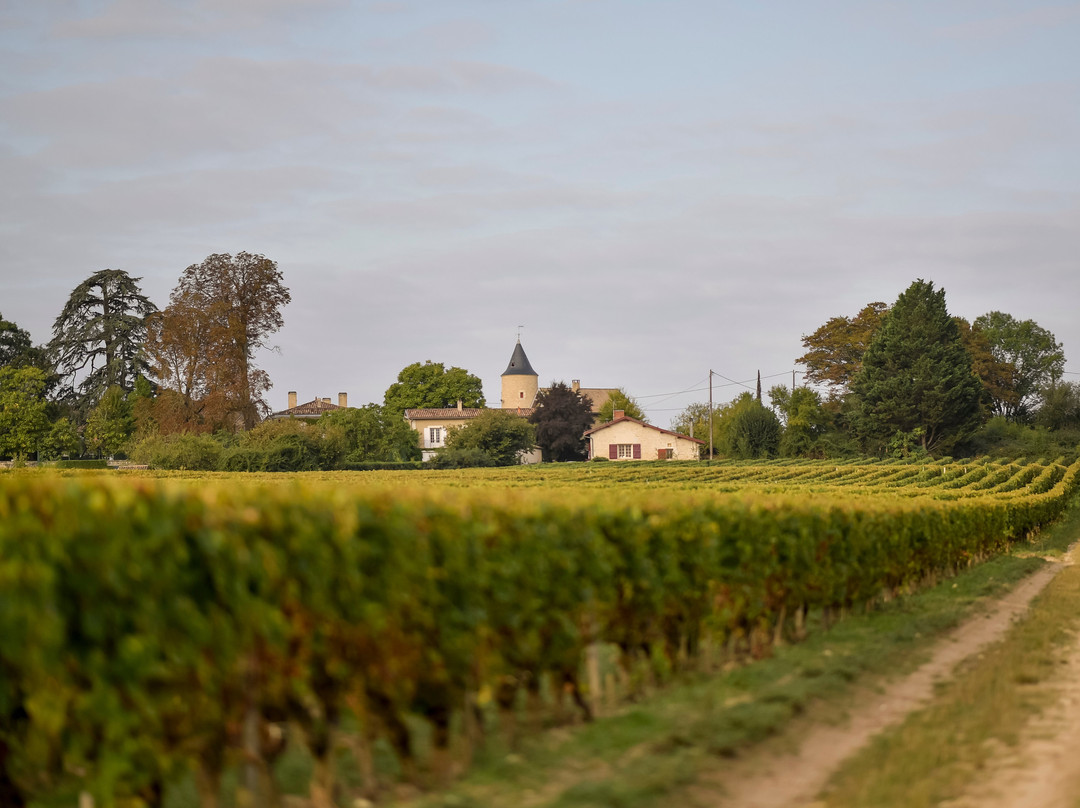 Sud Bordeaux Tourisme-马尔迪亚克必去景点