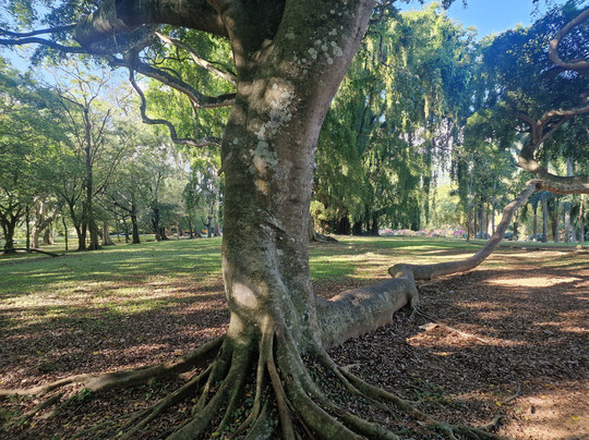 Sri Lanka Explorer-瓦都瓦必去景点