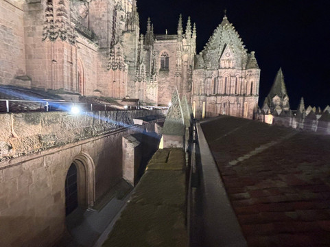 伊诺尼马斯大教堂-萨拉曼卡必去景点