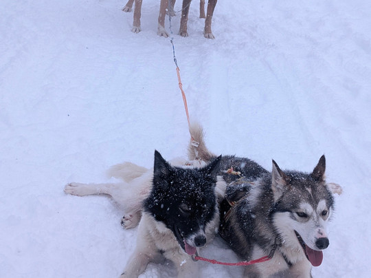 Activenorth-Skibotn必去景点