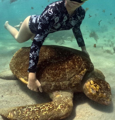 Maracajaú Diver-Maracajau必去景点