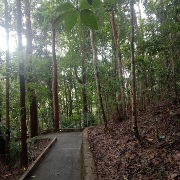 Barron Falls-库兰达必去景点