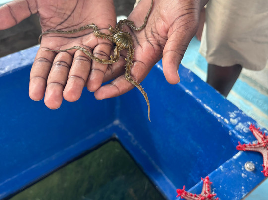 Galu tides tours and safaris-Galu Beach必去景点