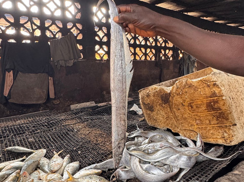 Tanji Fishing Village-Tanji必去景点