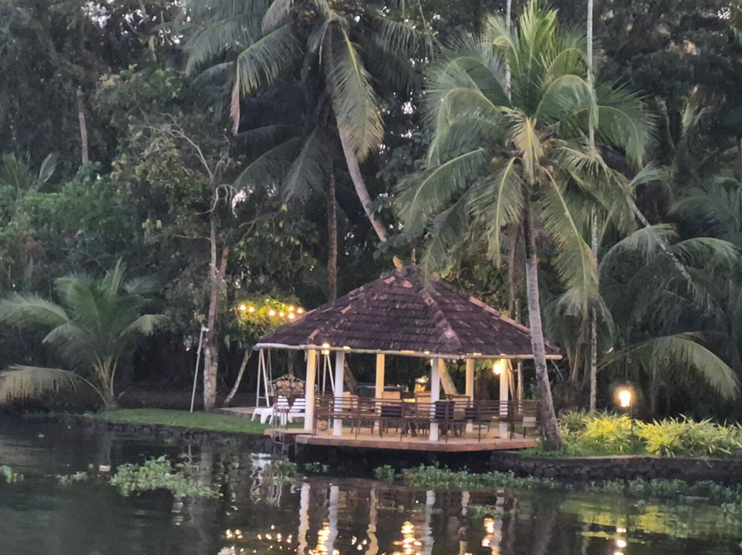 Sunsets and Palm Trees主图