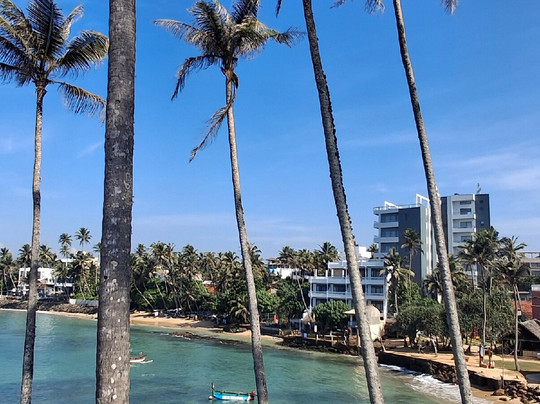 Coconut Tree Hill-美蕊沙必去景点