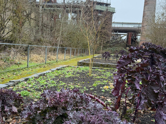 Voelklinger-Huette-Voelklingen必去景点