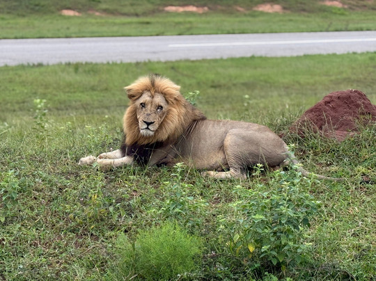SAFARI.COM-开普敦中心区必去景点