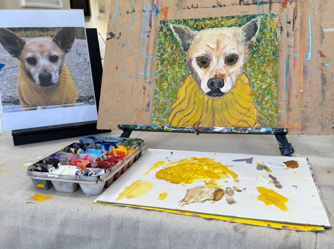 Galeria San Francisco-圣米格尔护城必去景点