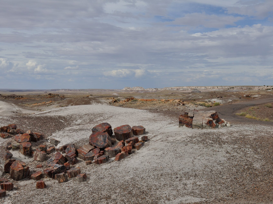 Petrified Forest National Park-霍尔布鲁克必去景点