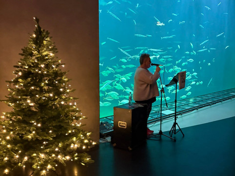 Nordsoen Oceanarium-赫茨哈斯必去景点