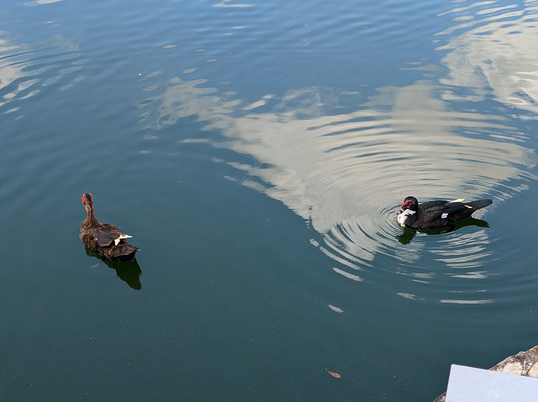Jardin Botanico y Cultural William Miranda Marin-Caguas必去景点