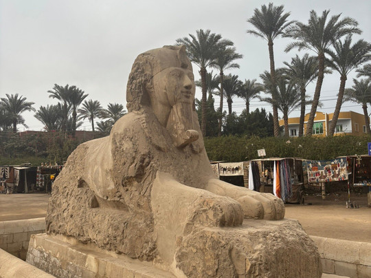 Deluxe Tours Egypt-开罗必去景点