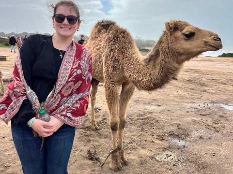 Citylife Madrid-马德里必去景点