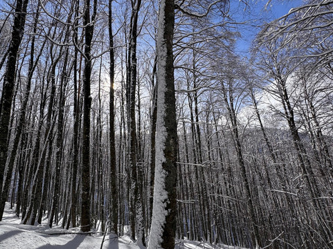 Terminillo Trekking 360-Monte Terminillo必去景点