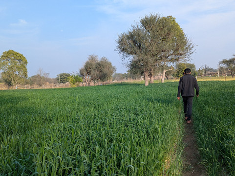 Rajesh Jangid Tourist Pension主图