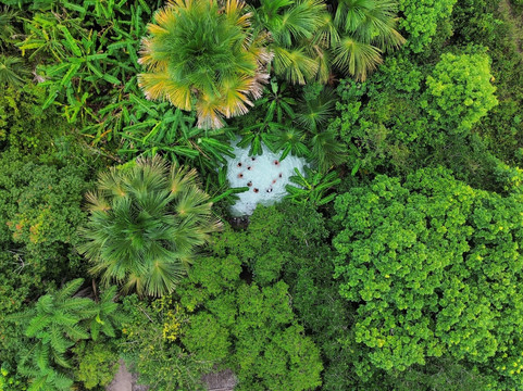 Jalapao Turismo-Jalapao State Park必去景点