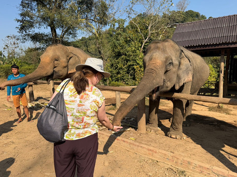 Elephant Village Sanctuary & Resort-琅勃拉邦必去景点