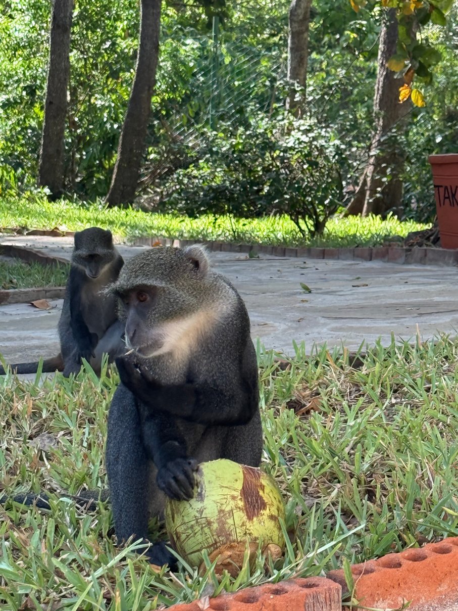 保巴博温泉海滩度假酒店-浴室