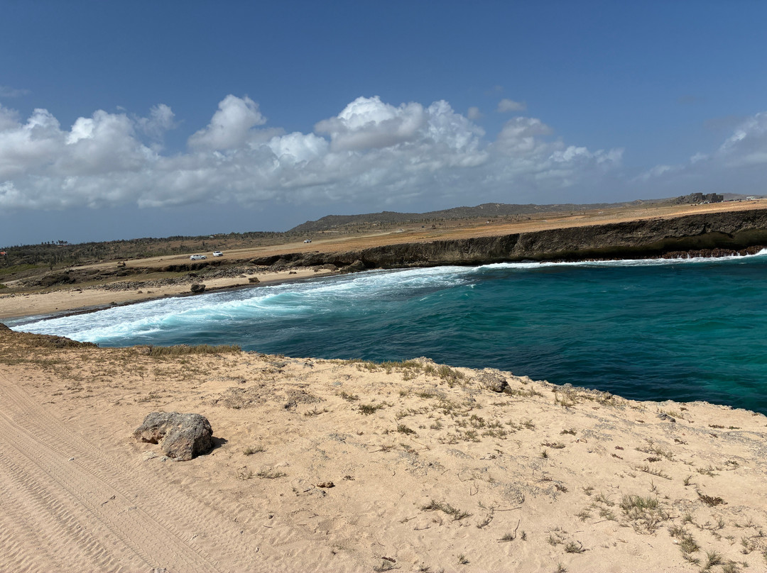 HF Tours & Transfers Aruba-奥腊涅斯塔德必去景点