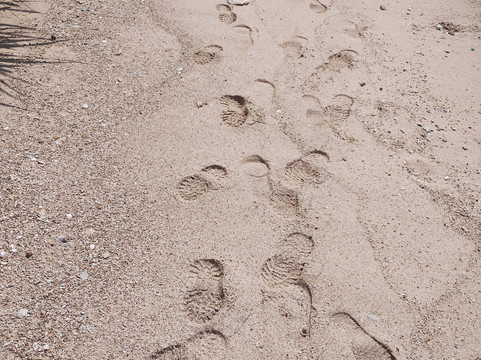 Ram Nagar Beach-Neil Island必去景点